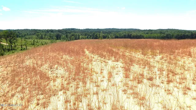 $64,500 | 612 A Hugh White State Pk Road, Grenada, MS 38901