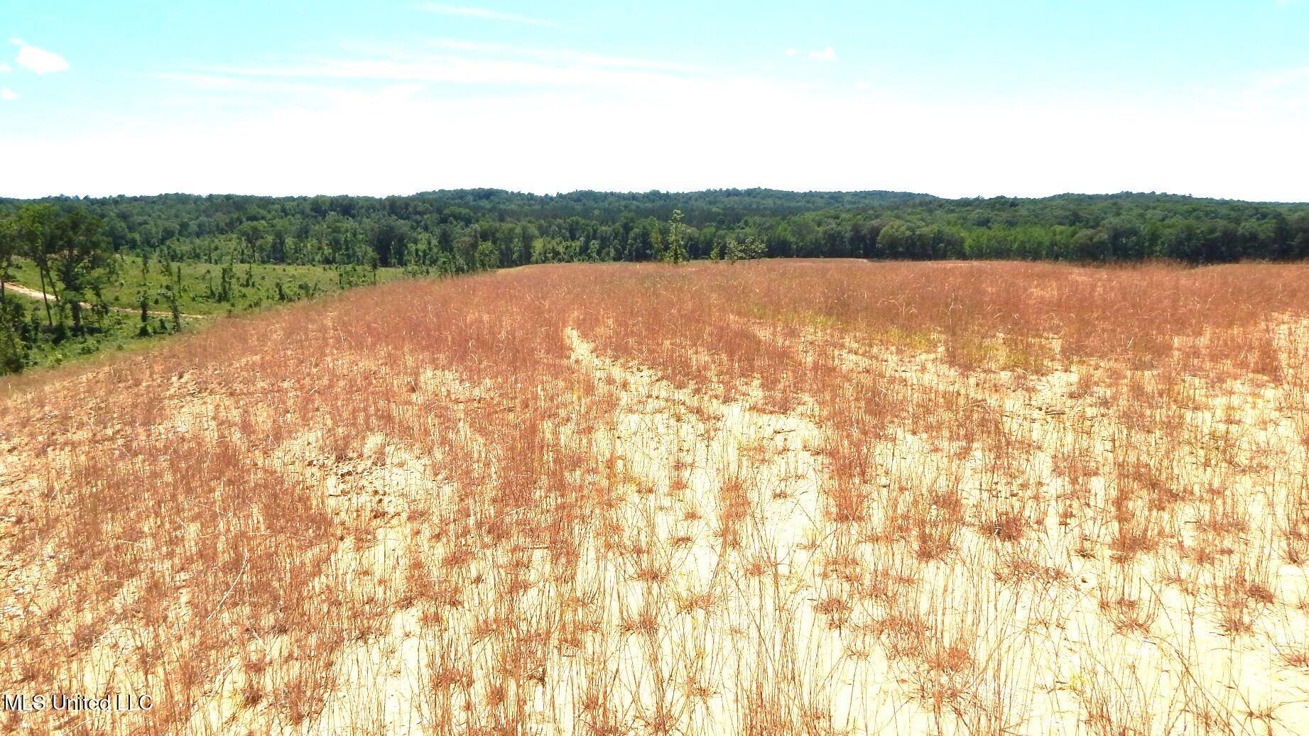 612 A Hugh White State Pk Road Grenada, MS 38901 - Photo 3 of 15 DSCN6951