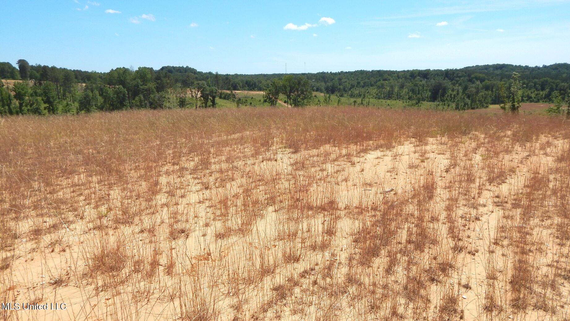 612 A Hugh White State Pk Road Grenada, MS 38901 - Photo 4 of 15 DSCN6953