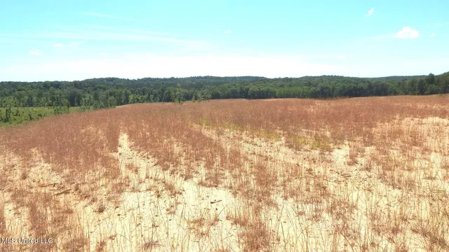 $64,500 | 612 A Hugh White State Pk Road, Grenada, MS 38901