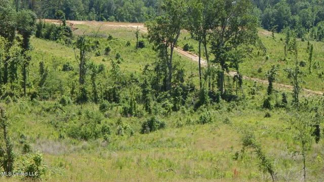 $64,500 | 612 A Hugh White State Pk Road, Grenada, MS 38901