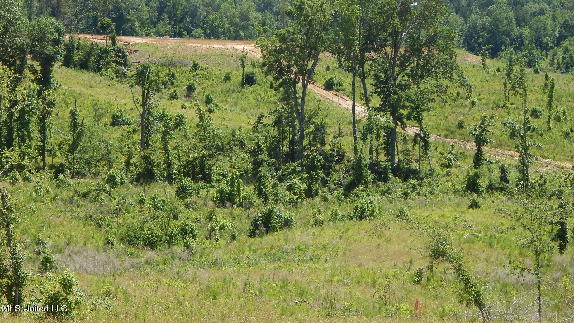 612 A Hugh White State Pk Road Grenada, MS 38901 - Photo 6 of 15 DSCN6954