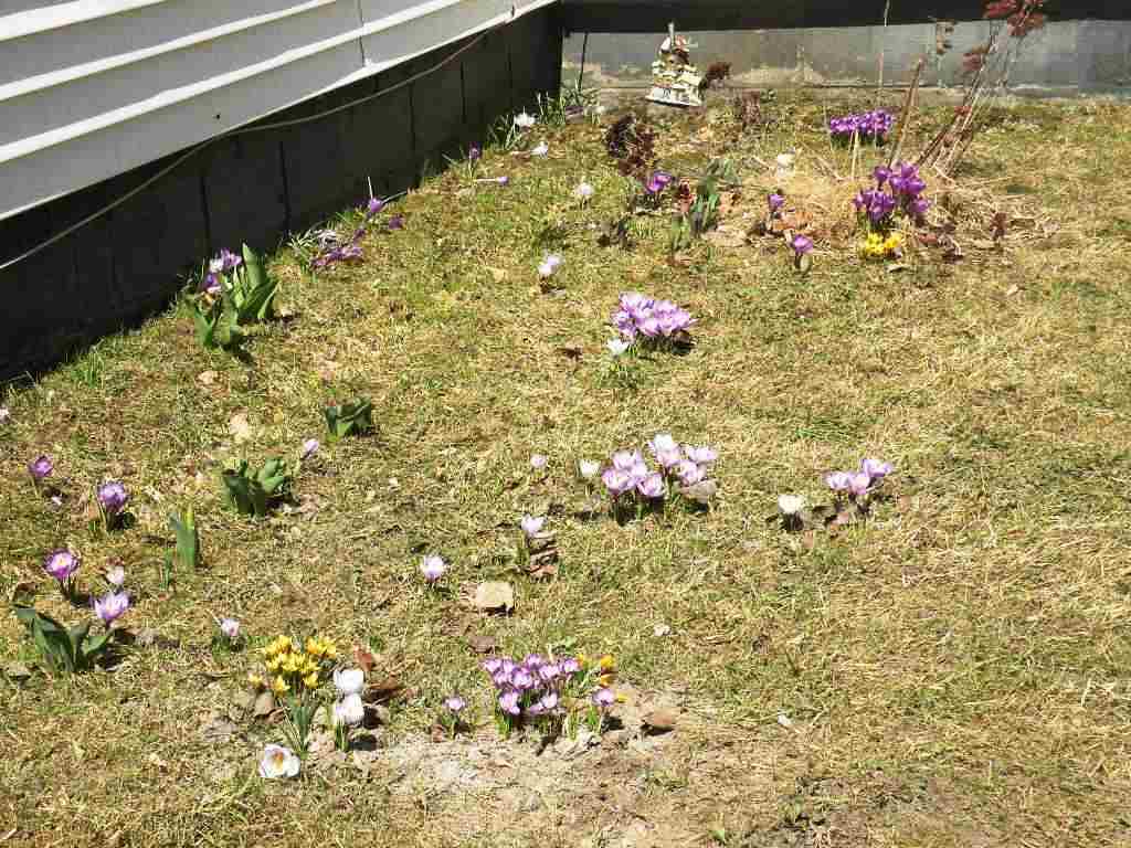 91 Granite Street Barre, VT 05641 - Photo 29 of 35 Gallery Image 29