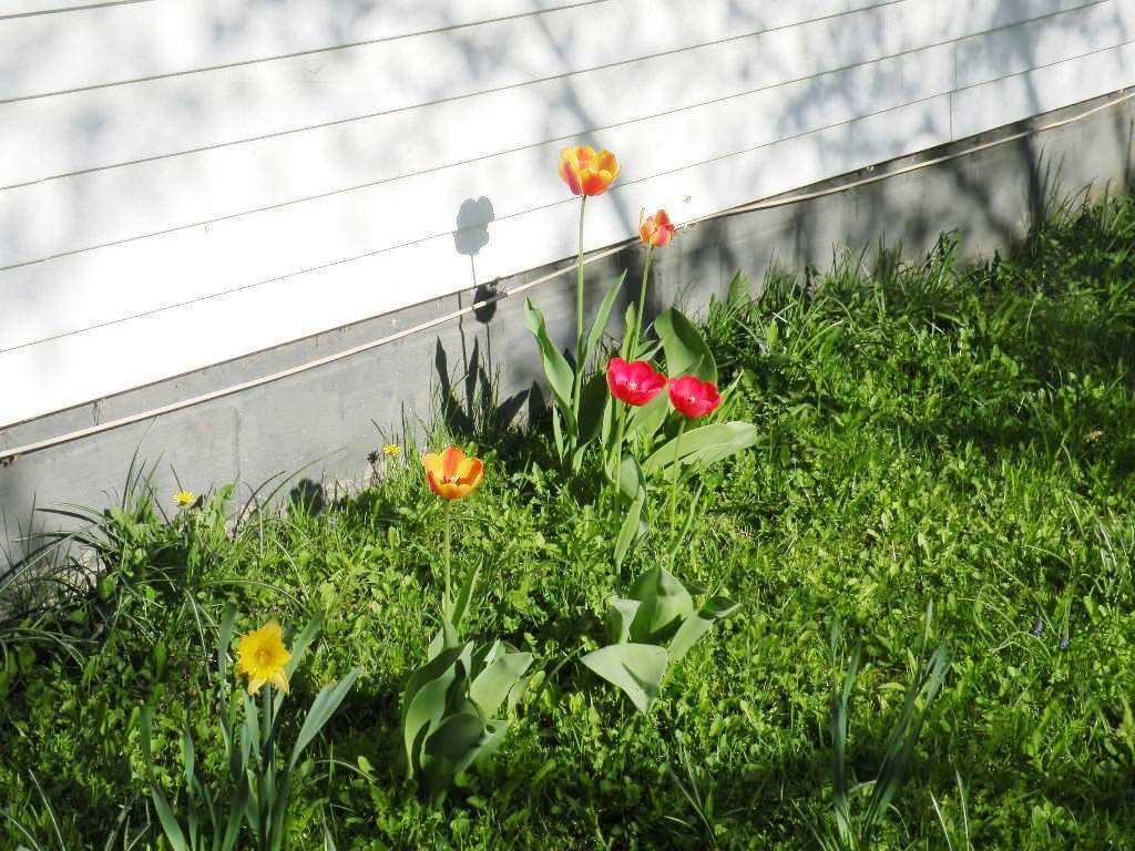 91 Granite Street Barre, VT 05641 - Photo 30 of 35 Gallery Image 30