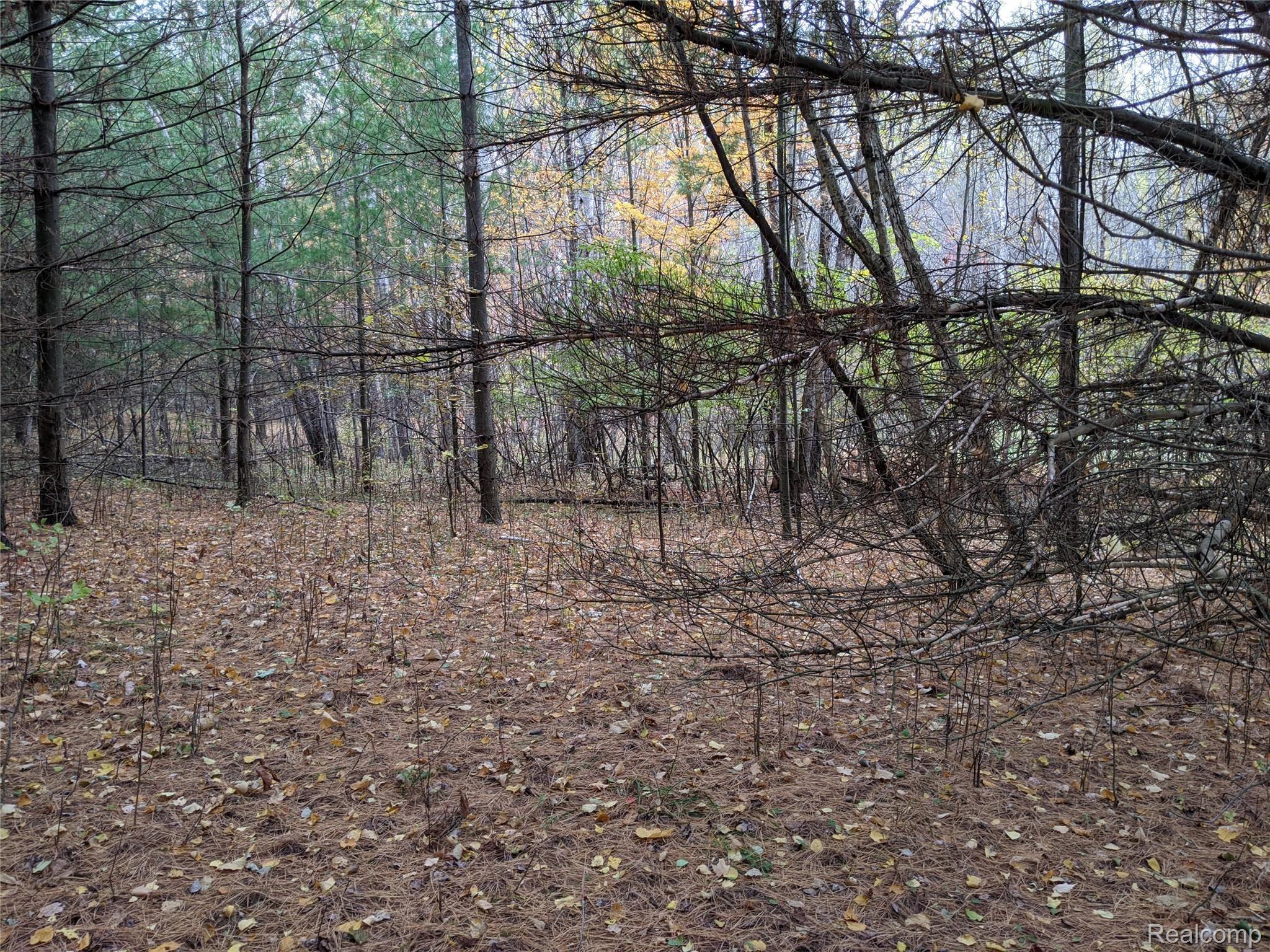 5259 Sheffer Road Prescott, MI 48756 - Photo 54 of 60 PXL_20201014_185406000.jpg