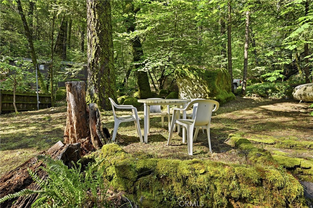 16221 Bottle Rock Road Cobb, CA 95426 - Photo 8 of 20