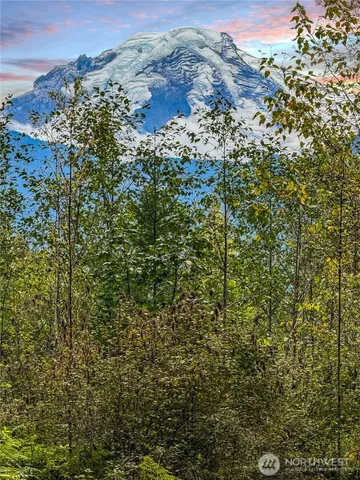 a view of a dry yard