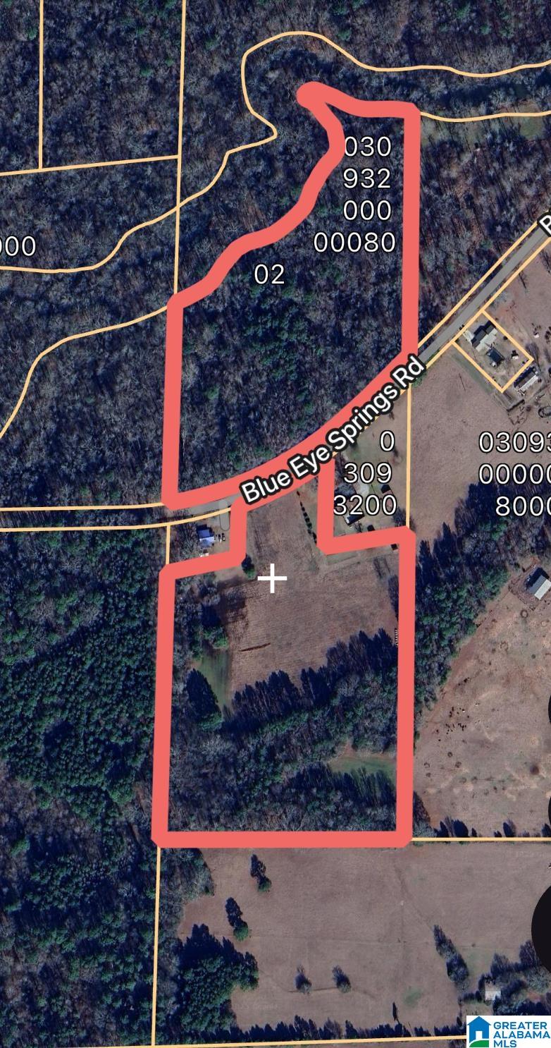1675 Blue Eye Springs Road Lincoln, AL 35096 - Photo 34 of 60