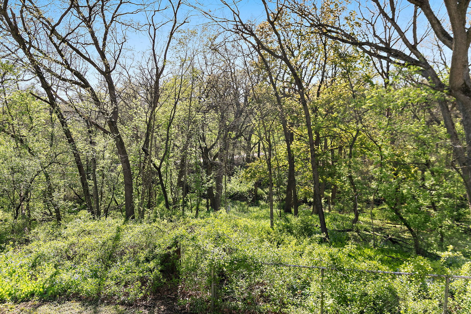 713 Council Hill Road East Dundee, IL 60118 - Photo 28 of 40 a view of a yard with plants and trees