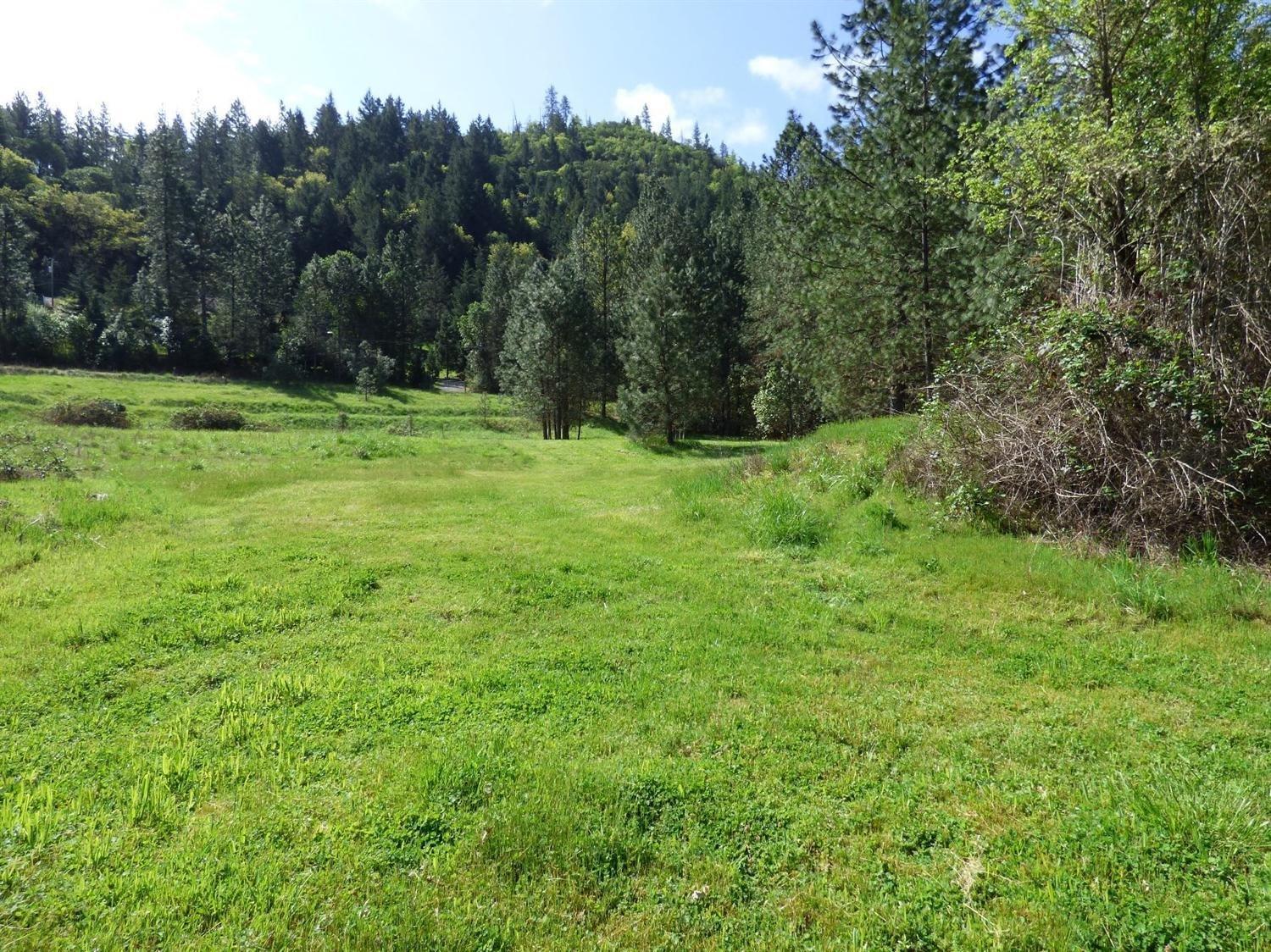 1490 Wards Creek Road Rogue River, OR 97537 - Photo 6 of 7 Center of property, about where homesite