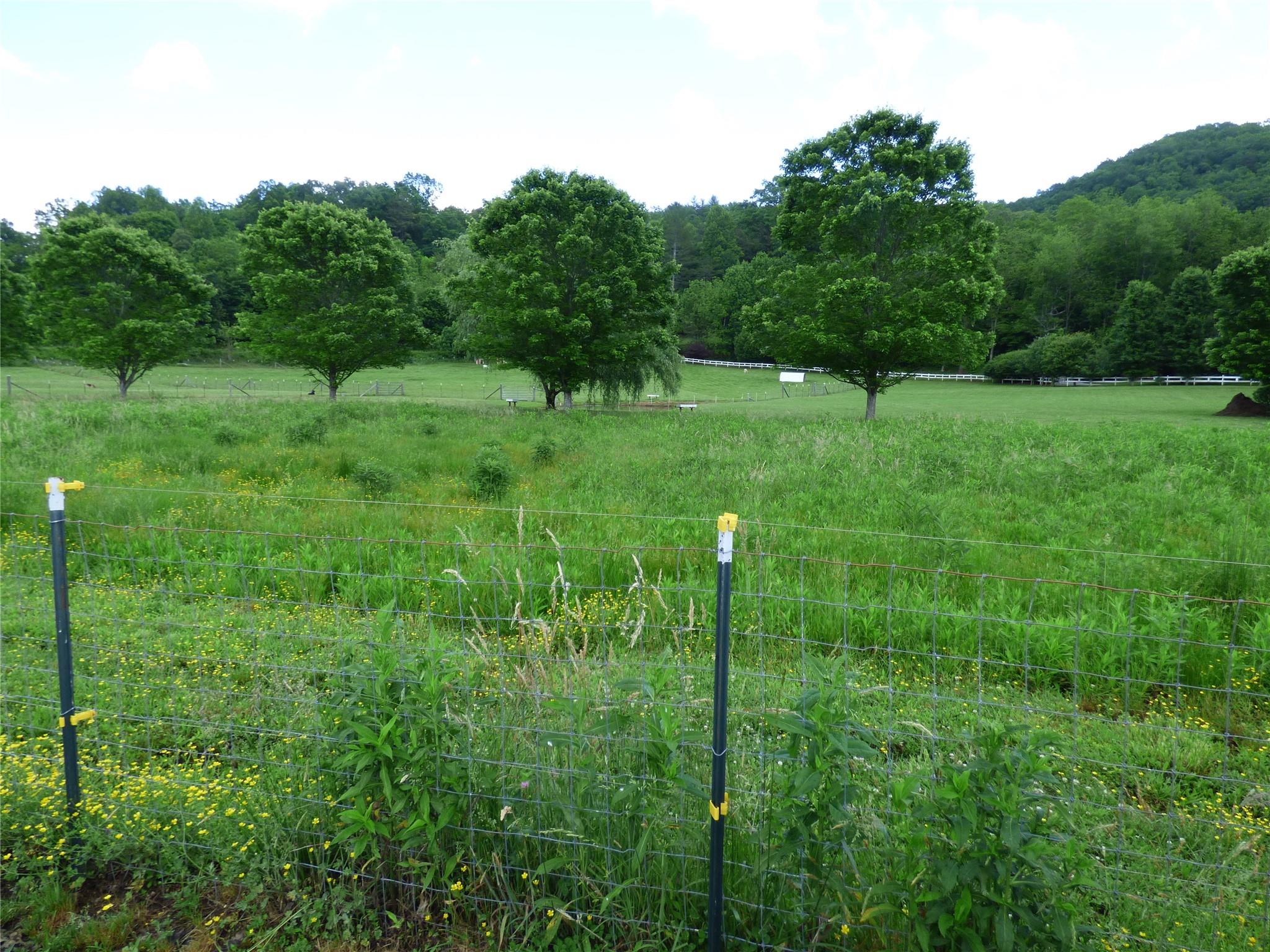 50 Timber Leaf Drive, Unit 12 Sylva, NC 28779 - Photo 14 of 14 a view of a green field