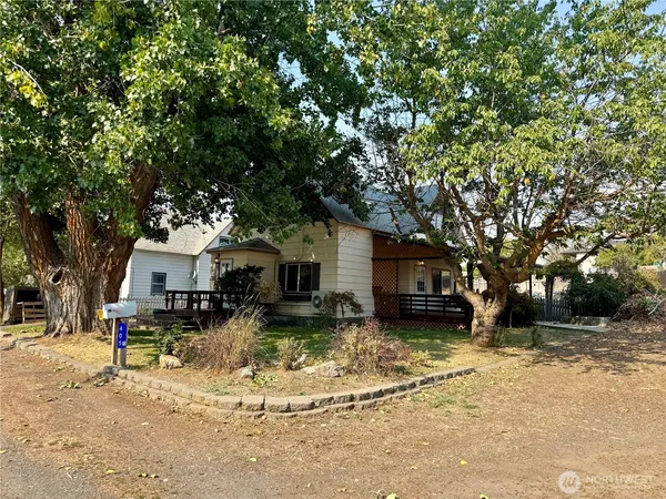 a view of a yard with a large tree