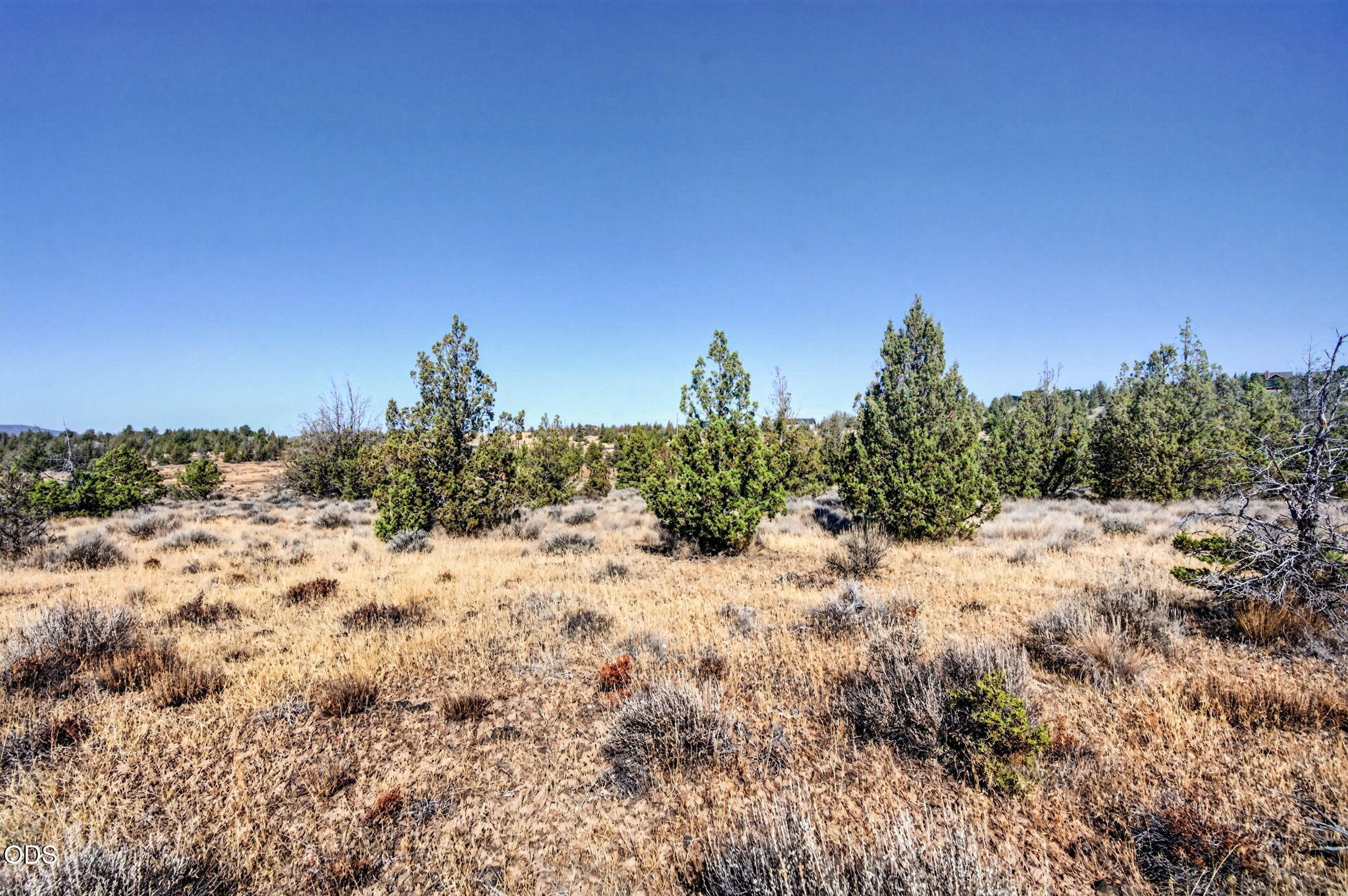 Southeast Laredo Road Prineville, OR 97754 - Photo 9 of 23 Gallery Image 9