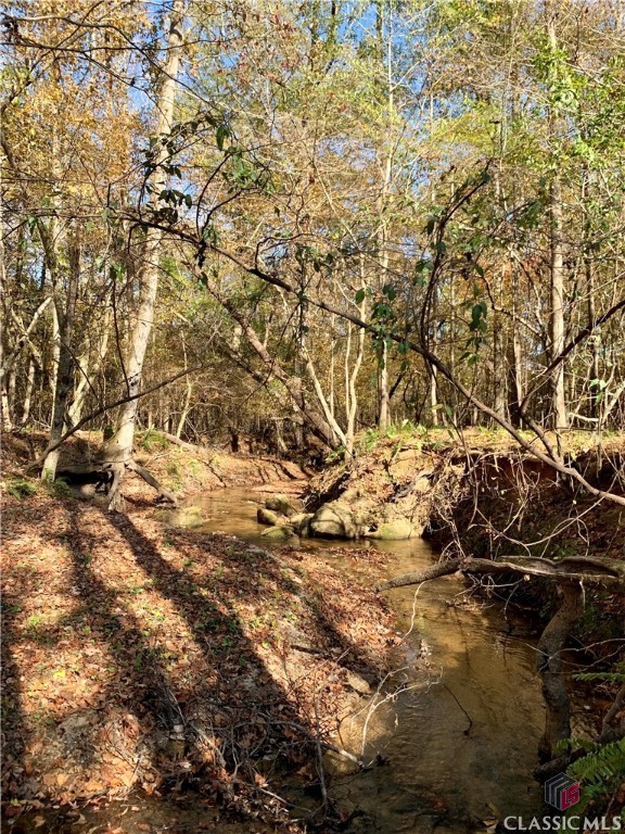 0 Center Church Road Stephens, GA 30667 - Photo 15 of 26