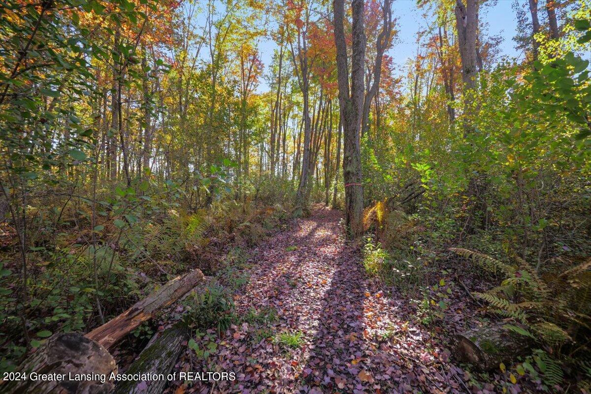 0 Holt Road Holt, MI 48842 - Photo 6 of 14 07-Media Jett - 06