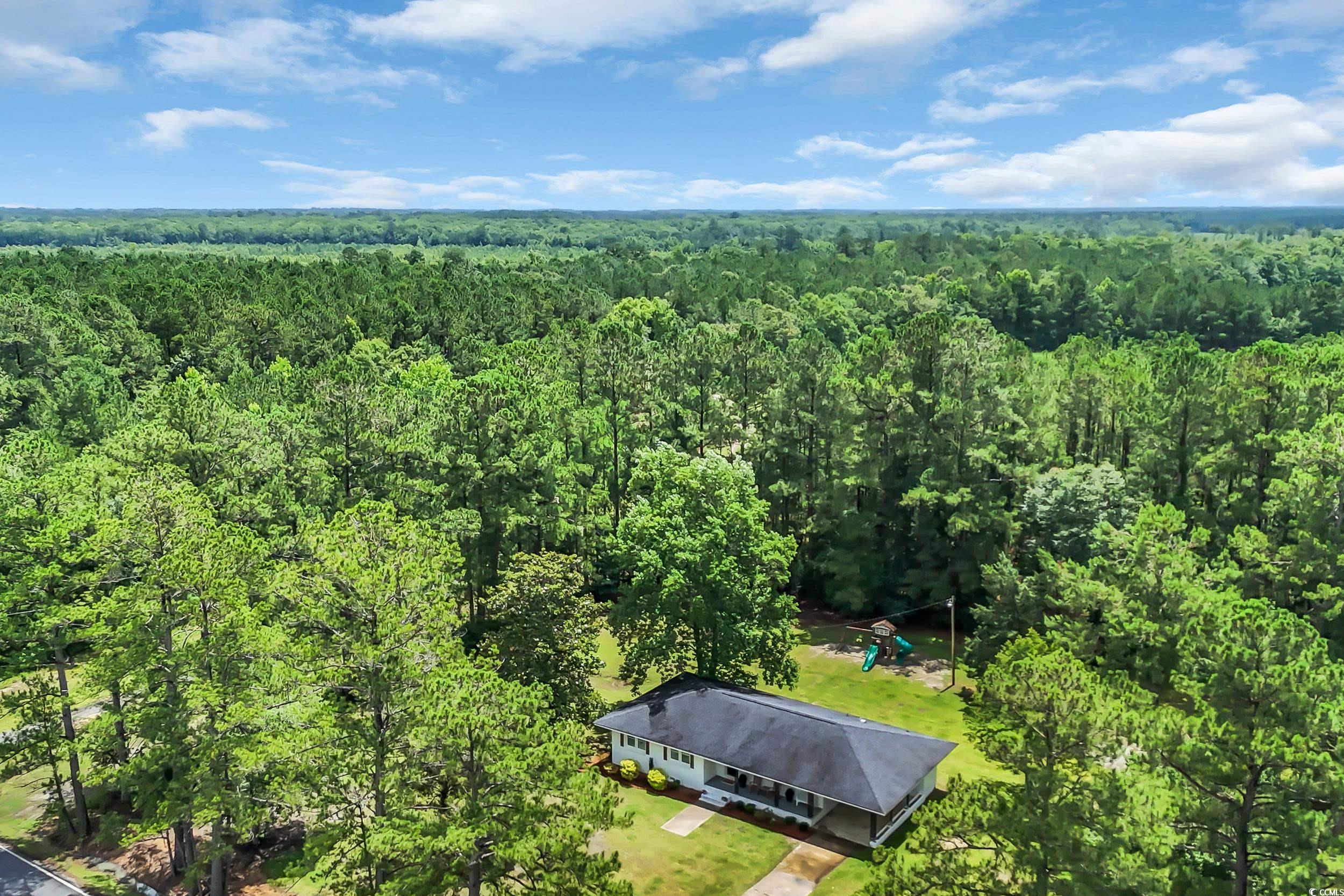 265 Powell Loop Andrews, SC 29510 - Photo 27 of 30
