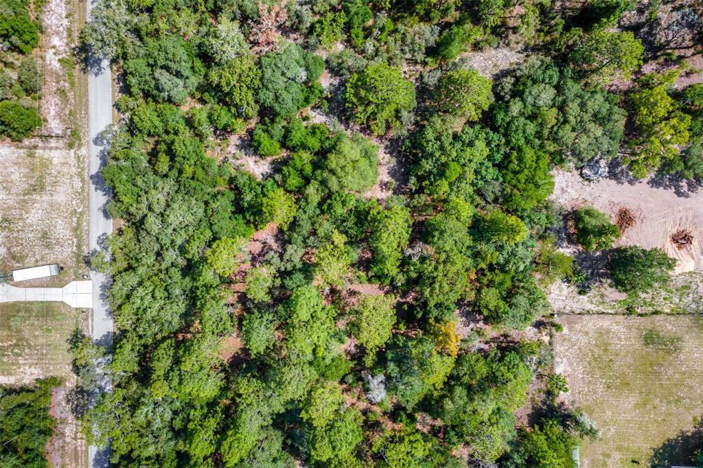 Southwest Shasta Court Dunnellon, FL 34431 - Photo 4 of 9