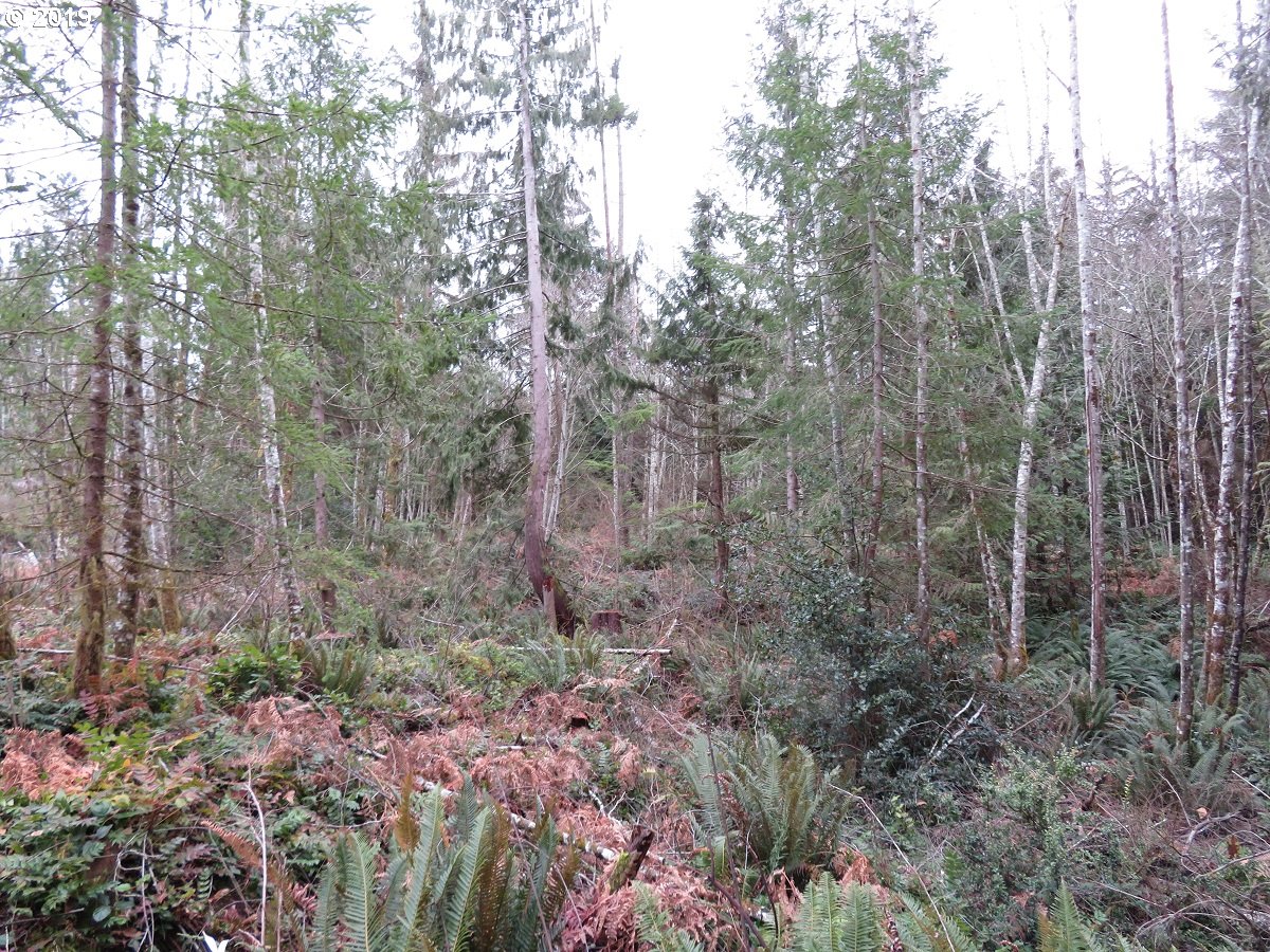 5630 Southwest Old Clifton Road Port Orchard, WA 98367 - Photo 1 of 28 Gallery Image 1