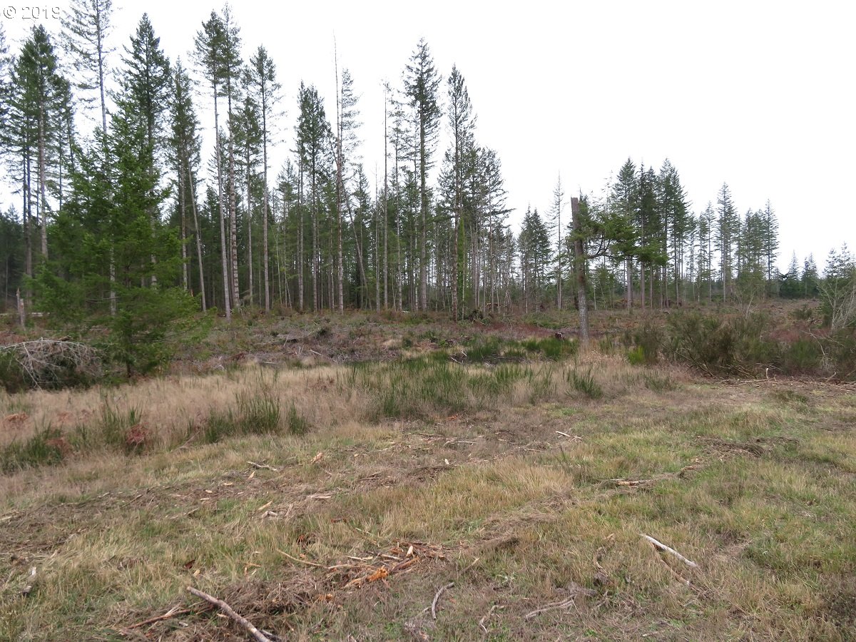5630 Southwest Old Clifton Road Port Orchard, WA 98367 - Photo 2 of 28 Gallery Image 2