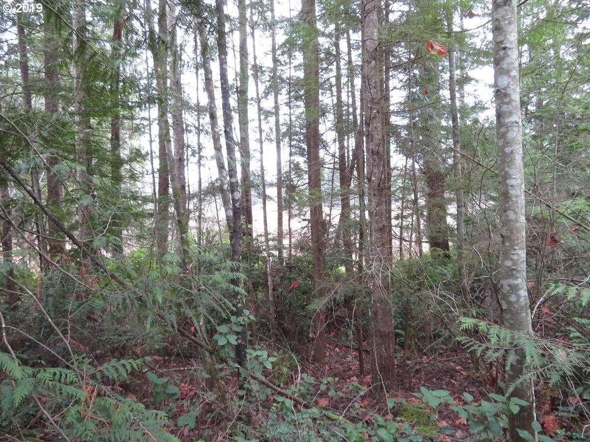 5630 Southwest Old Clifton Road Port Orchard, WA 98367 - Photo 13 of 28 Gallery Image 13