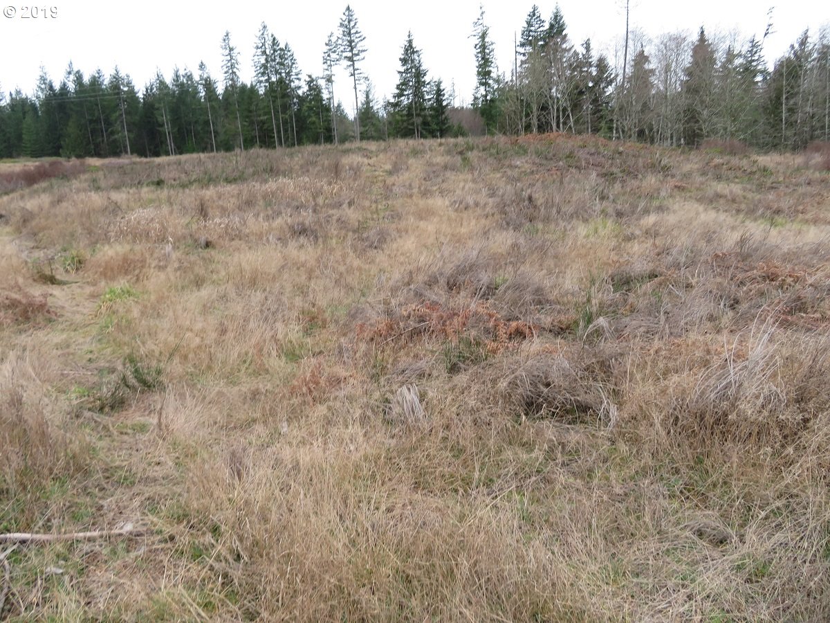 5630 Southwest Old Clifton Road Port Orchard, WA 98367 - Photo 14 of 28 Gallery Image 14