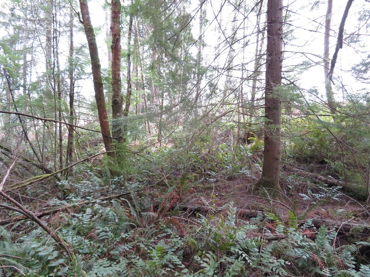 5630 Southwest Old Clifton Road Port Orchard, WA 98367 - Photo 20 of 28 Gallery Image 20