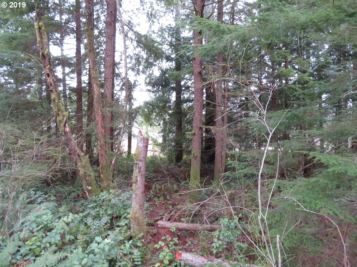 5630 Southwest Old Clifton Road Port Orchard, WA 98367 - Photo 3 of 28 Gallery Image 3