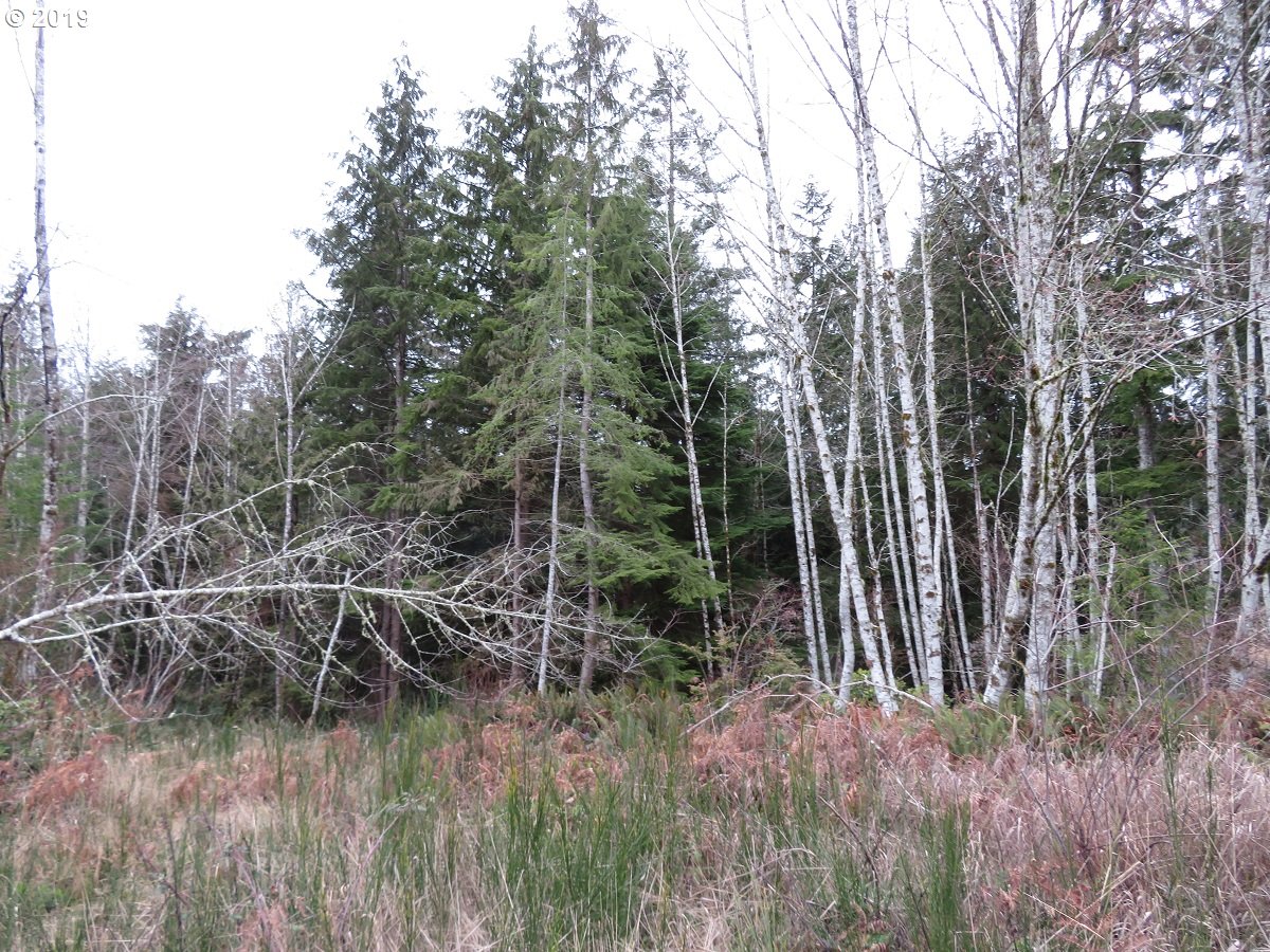 5630 Southwest Old Clifton Road Port Orchard, WA 98367 - Photo 21 of 28 Gallery Image 21