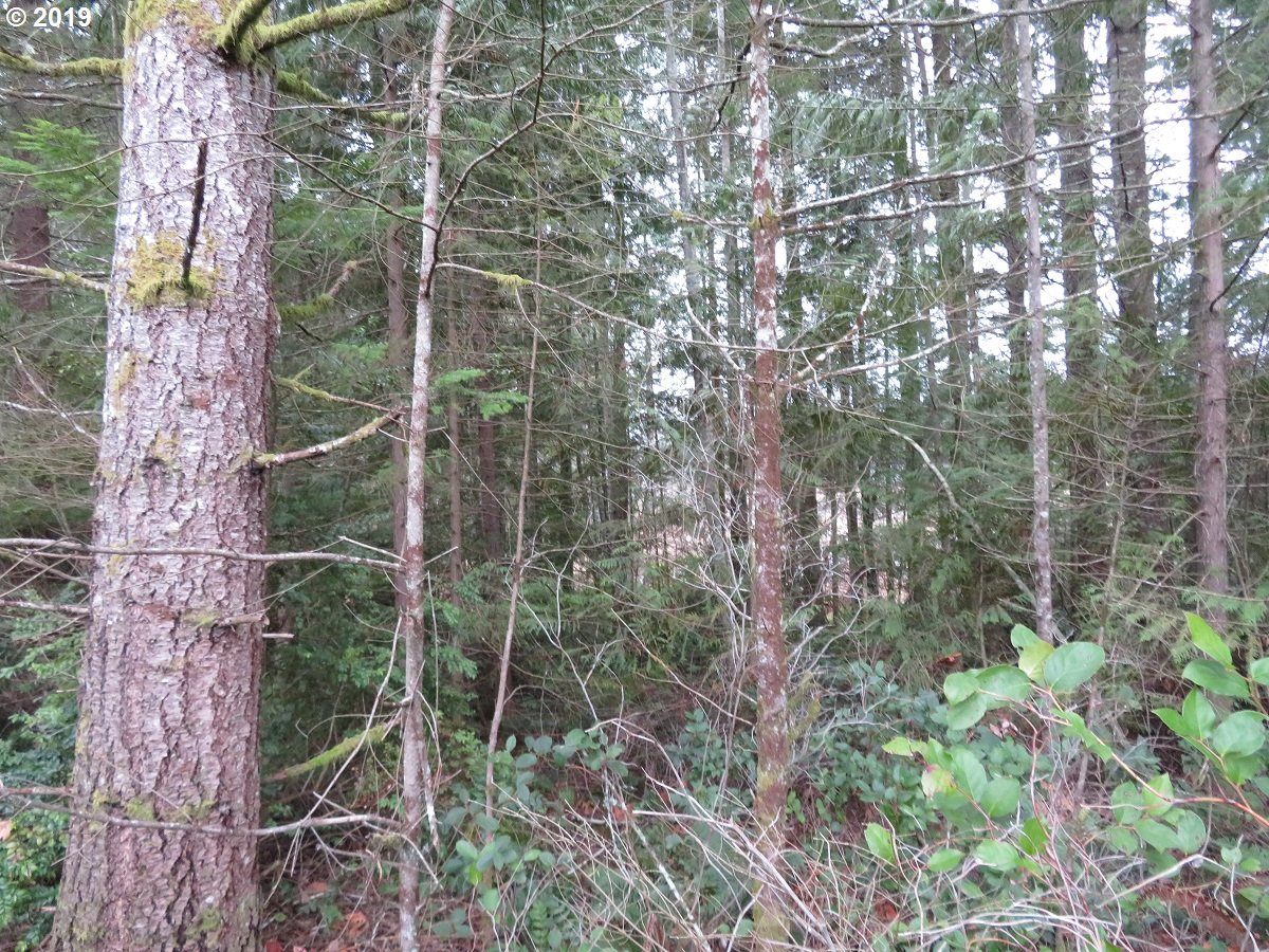 5630 Southwest Old Clifton Road Port Orchard, WA 98367 - Photo 24 of 28 Gallery Image 24