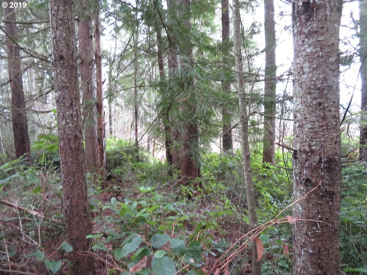 5630 Southwest Old Clifton Road Port Orchard, WA 98367 - Photo 25 of 28 Gallery Image 25
