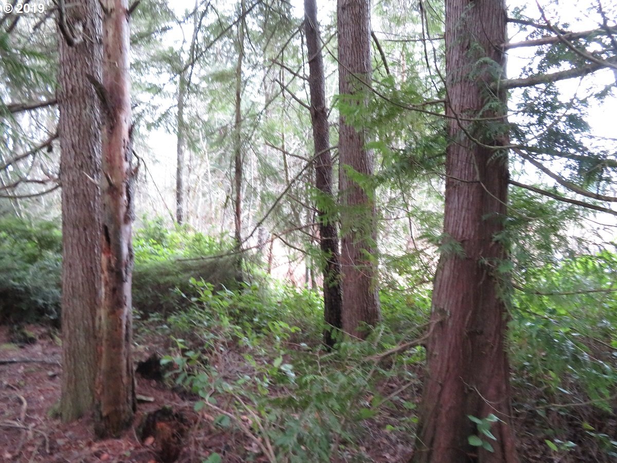 5630 Southwest Old Clifton Road Port Orchard, WA 98367 - Photo 26 of 28 Gallery Image 26