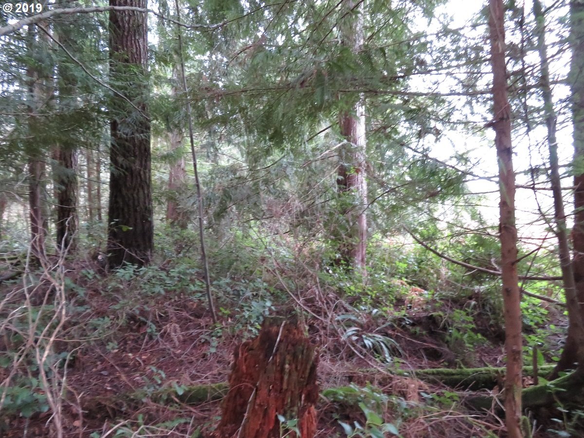 5630 Southwest Old Clifton Road Port Orchard, WA 98367 - Photo 27 of 28 Gallery Image 27