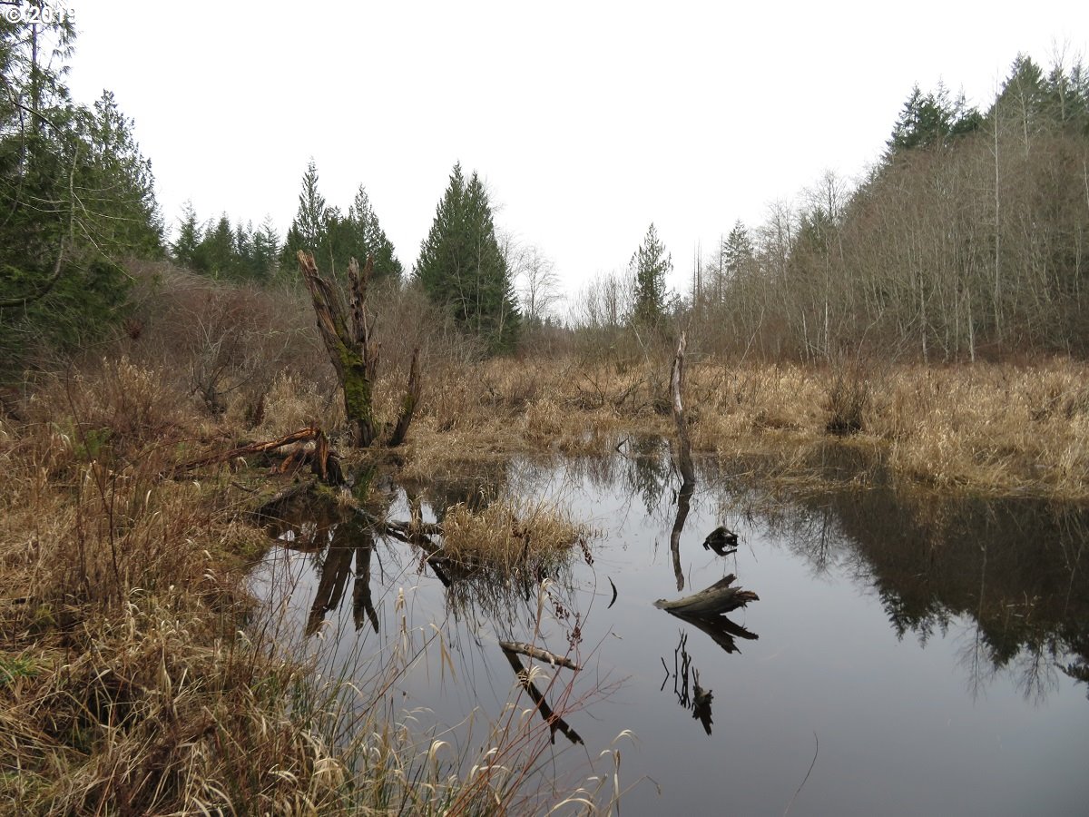5630 Southwest Old Clifton Road Port Orchard, WA 98367 - Photo 28 of 28 Gallery Image 28