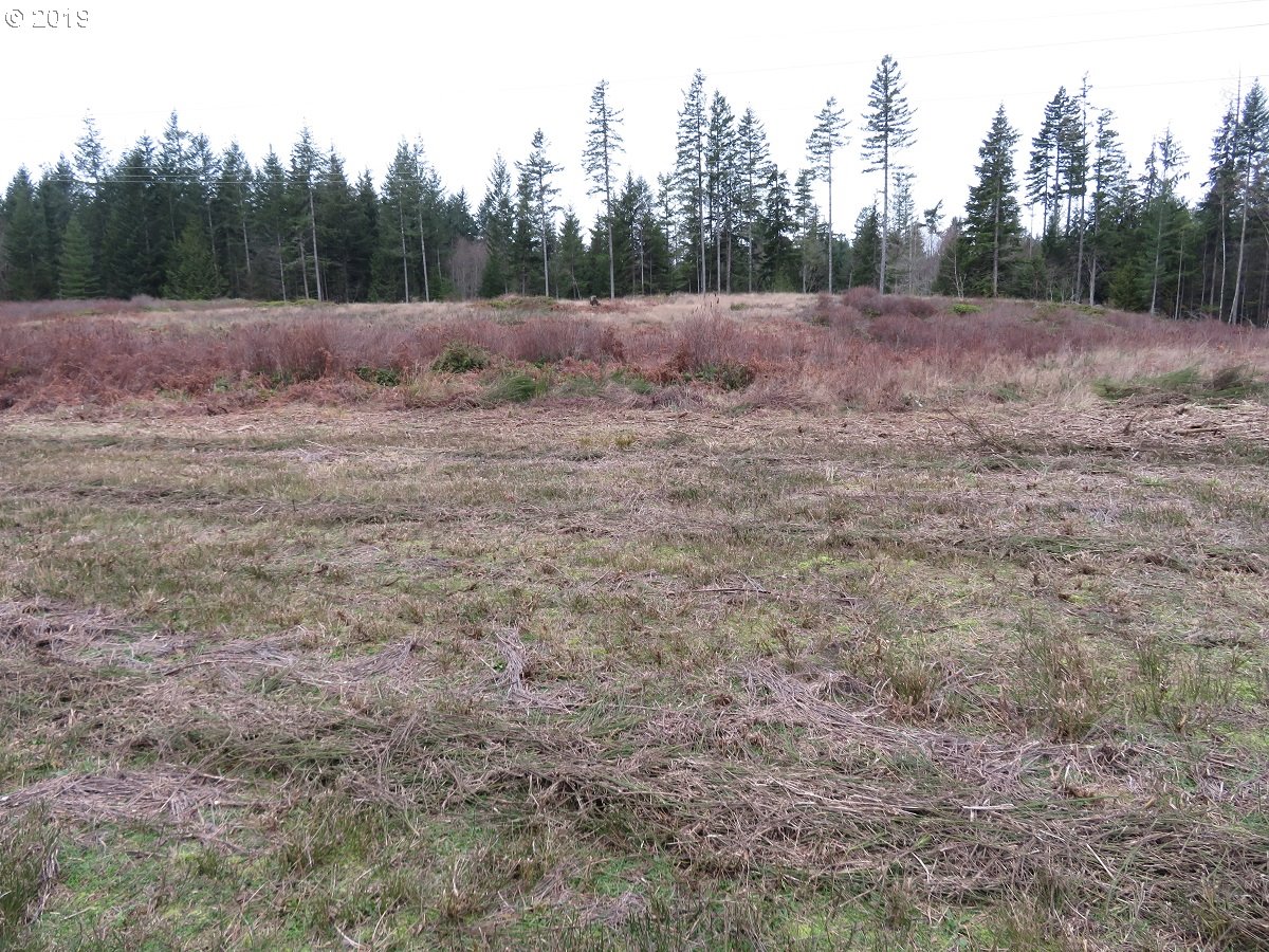 5630 Southwest Old Clifton Road Port Orchard, WA 98367 - Photo 4 of 28 Gallery Image 4
