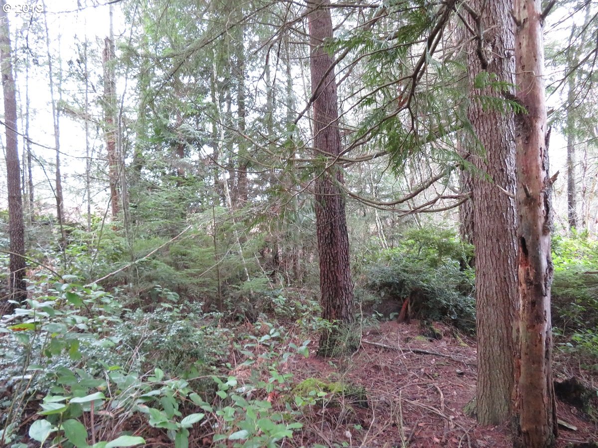 5630 Southwest Old Clifton Road Port Orchard, WA 98367 - Photo 5 of 28 Gallery Image 5