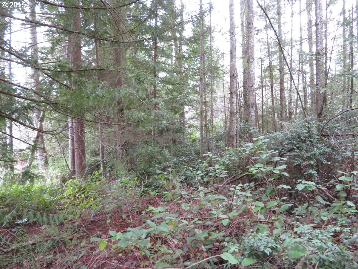 5630 Southwest Old Clifton Road Port Orchard, WA 98367 - Photo 6 of 28 Gallery Image 6