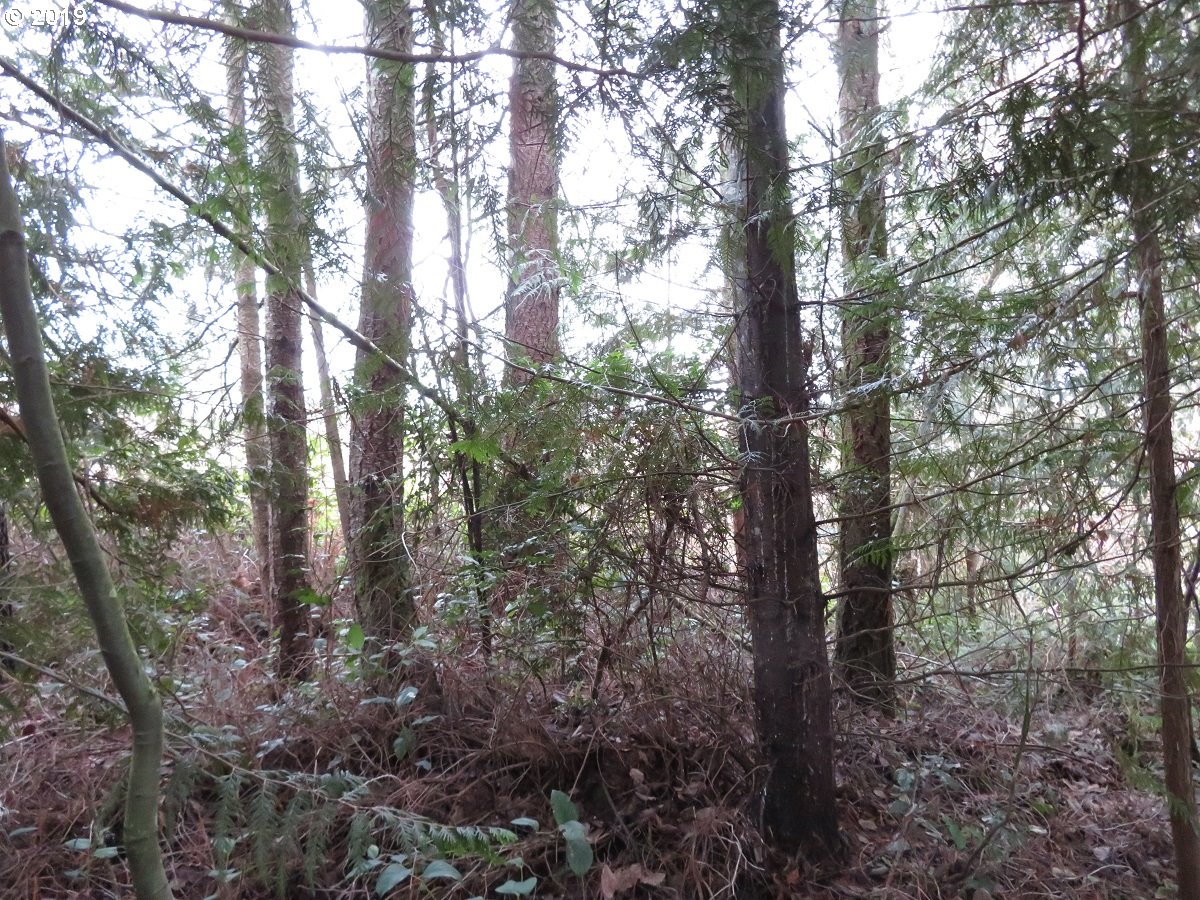 5630 Southwest Old Clifton Road Port Orchard, WA 98367 - Photo 7 of 28 Gallery Image 7
