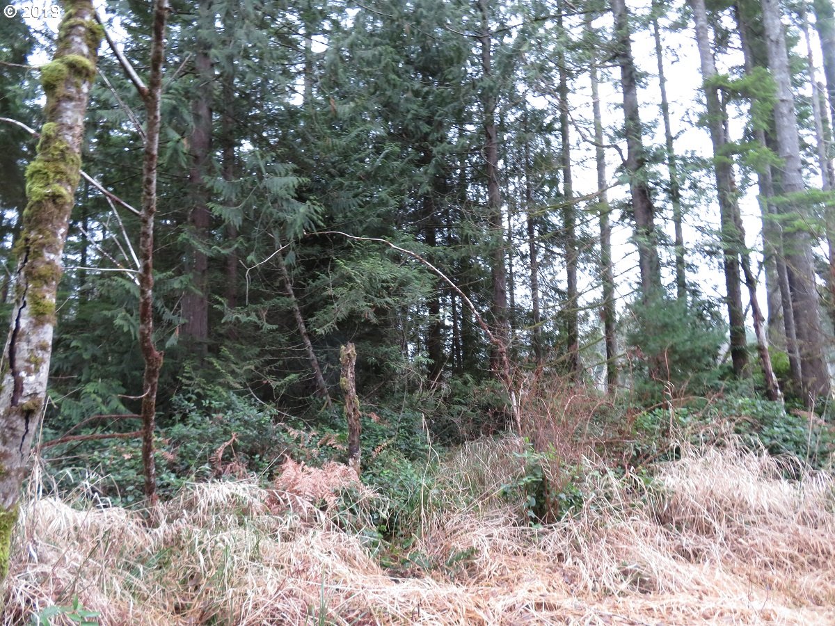 5630 Southwest Old Clifton Road Port Orchard, WA 98367 - Photo 8 of 28 Gallery Image 8