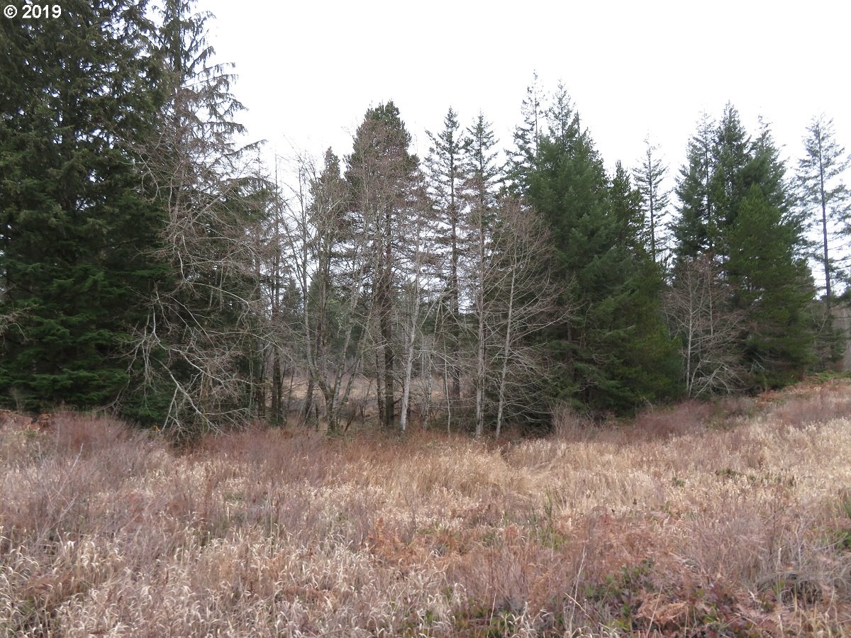 5630 Southwest Old Clifton Road Port Orchard, WA 98367 - Photo 10 of 28 Gallery Image 10