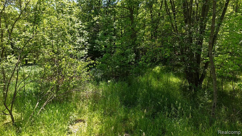 0 Williams Road Gaines, MI 48436 - Photo 25 of 28