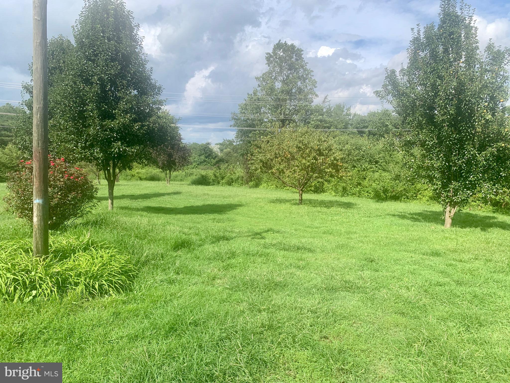 9721 Lawyers Road Spotsylvania, VA 22551 - Photo 13 of 15