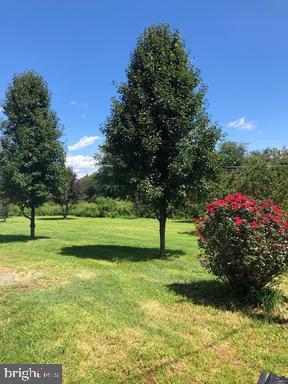 9721 Lawyers Road Spotsylvania, VA 22551 - Photo 5 of 15