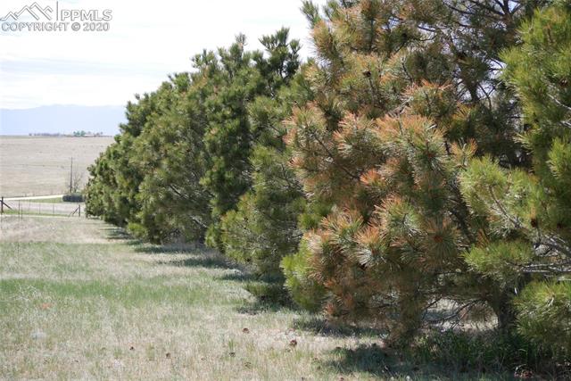 22850 Murphy Road Calhan, CO 80808 - Photo 46 of 49 Gallery Image 46