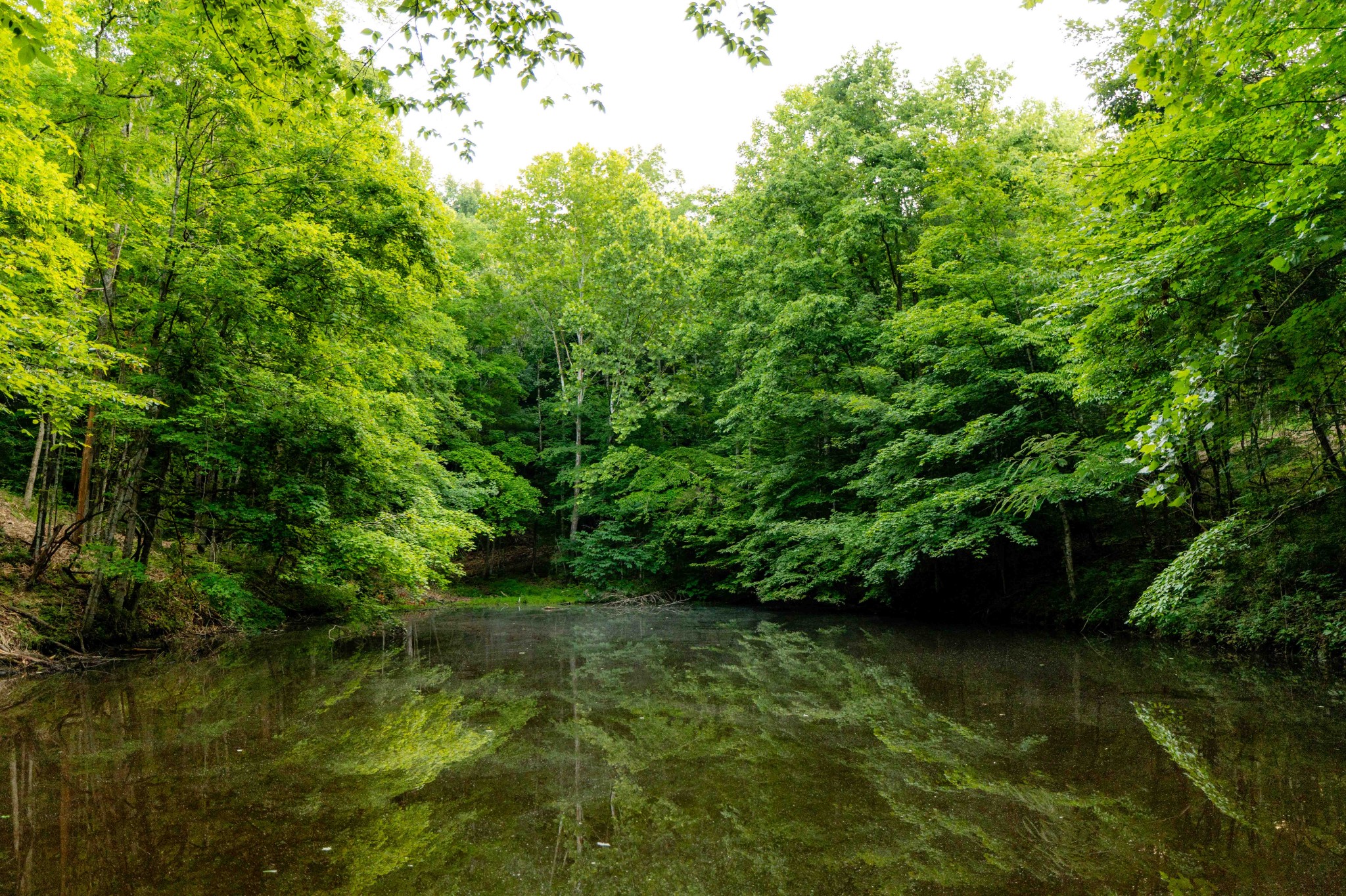 0 Robinson Road Franklin, TN 37064 - Photo 8 of 28