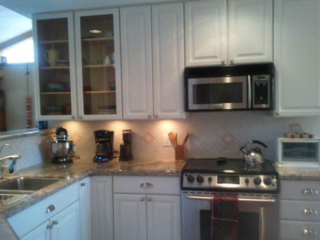 21557 Kapok Circle Boca Raton, FL 33433 - Photo 7 of 9 kitchen 3