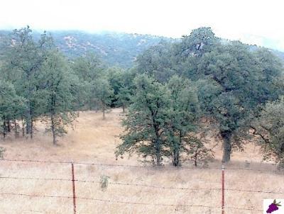 1 Hopewell Road Squaw Valley, CA 93675 - Photo 2 of 5 Gallery Image 2