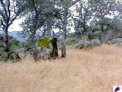 1 Hopewell Road Squaw Valley, CA 93675 - Photo 5 of 5 Gallery Image 5
