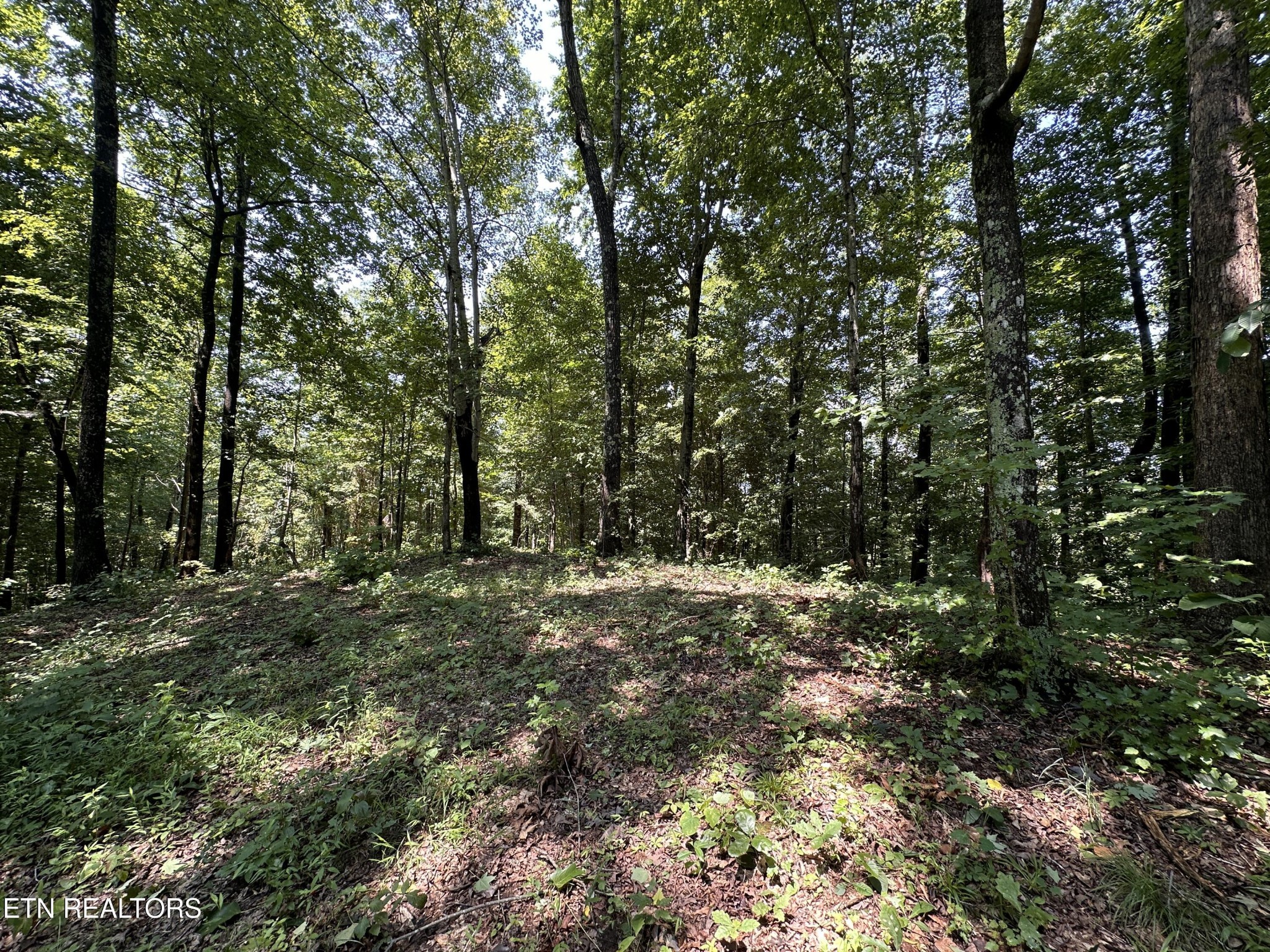 1255 Winningham Road Byrdstown, TN 38549 - Photo 2 of 13