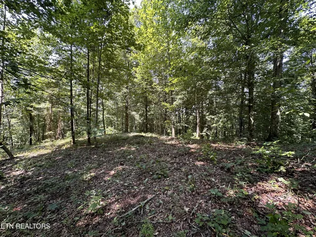 $249,900 | 1255 Winningham Road, Byrdstown, TN 38549