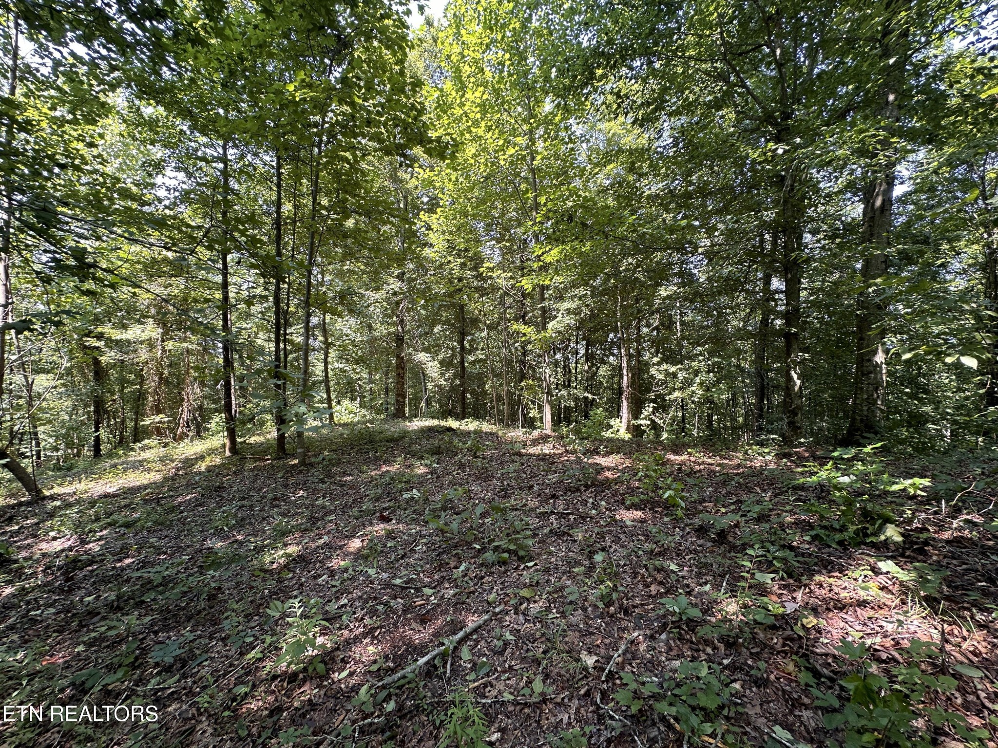 1255 Winningham Road Byrdstown, TN 38549 - Photo 5 of 13
